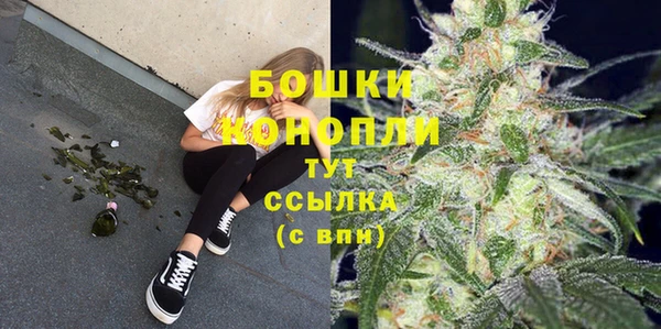 PSILOCYBIN Няндома