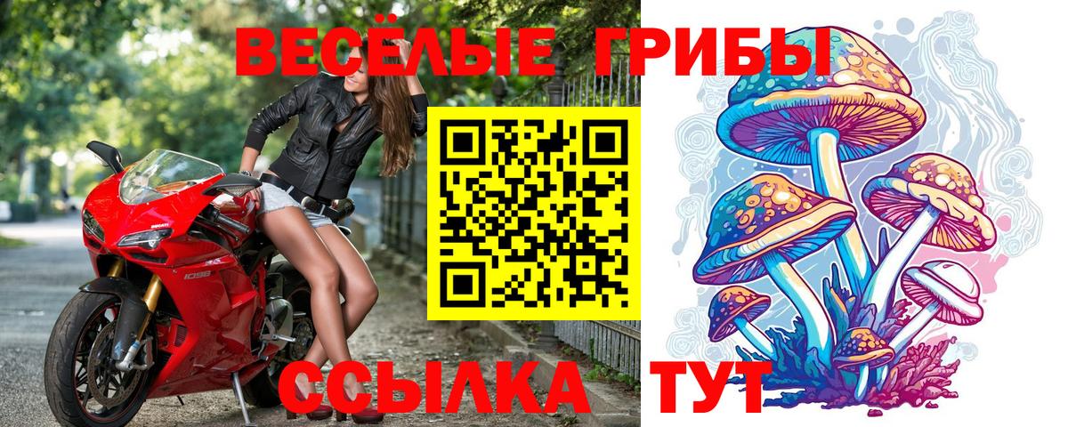 Псилоцибиновые грибы MAGIC MUSHROOMS  Вход с VPN  наркошоп  Славянск-на-Кубани 