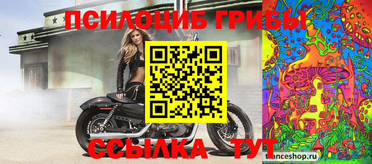 Псилоцибиновые грибы прущие грибы  Славянск-на-Кубани  Галлюциногенные грибы Magic Shrooms 